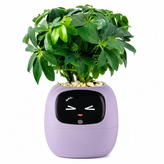 Ivy Gen 2 Smart Planter