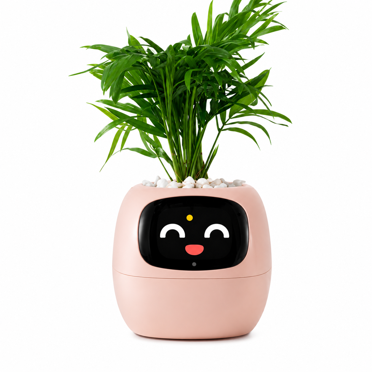 Ivy Gen 2 Smart Planter