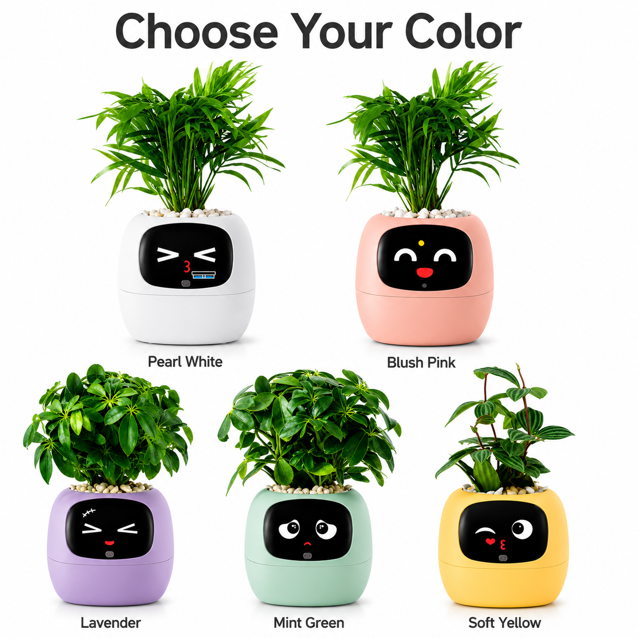 Ivy Gen 2 Smart Planter
