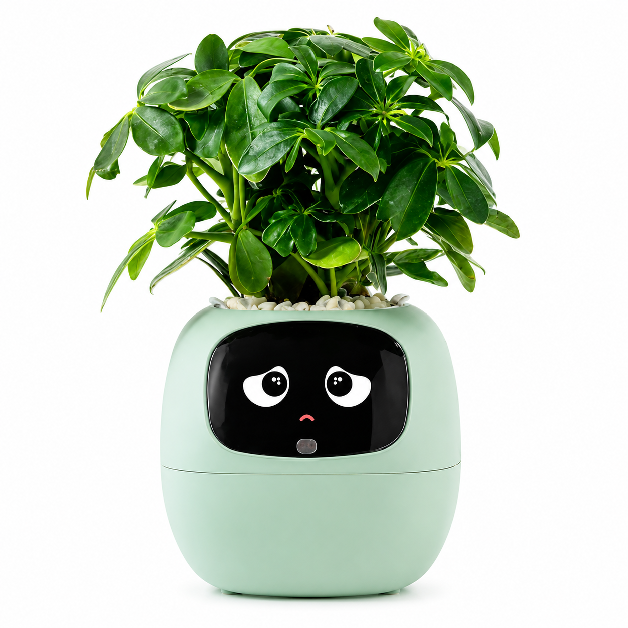 Ivy Gen 2 Smart Planter