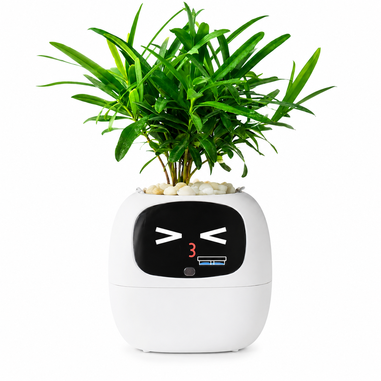 Ivy Gen 2 Smart Planter